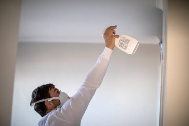 Best Black Mold Removal  in , WI