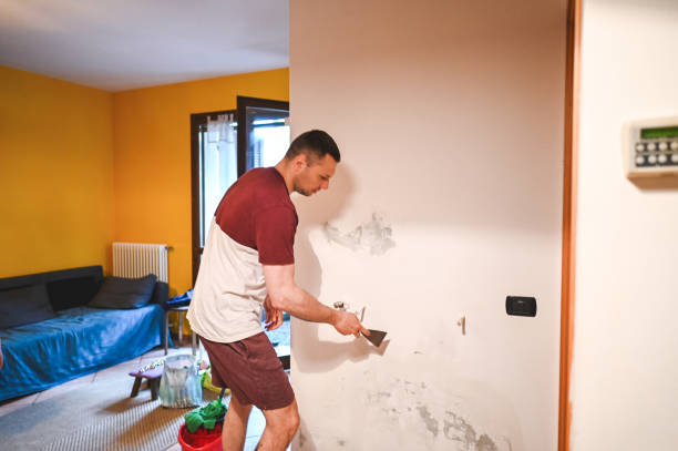 Best Commercial Mold Removal  in , WI